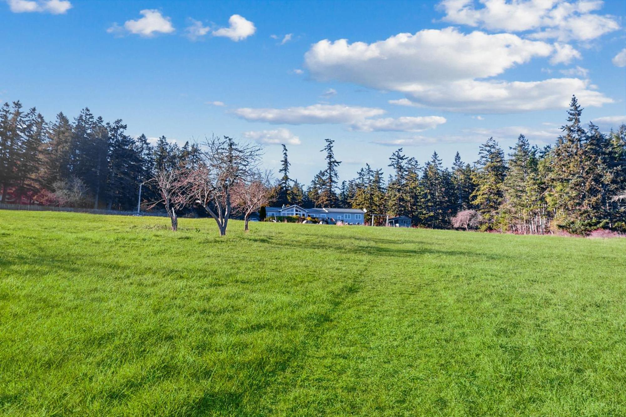 Marrowstone Island Beach Home Exterior photo